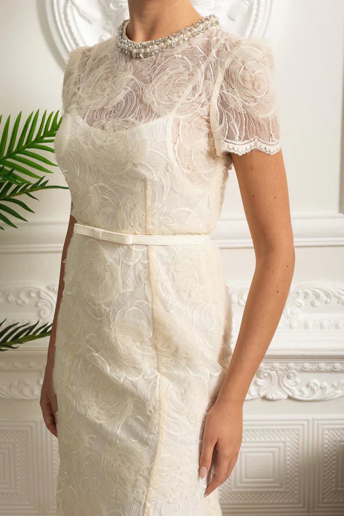 Vestido Longo – Luxo, Bordado em Renda, Detalhes com Diamantes e Cristais, Manga Curta Transparente, Modelo Midi